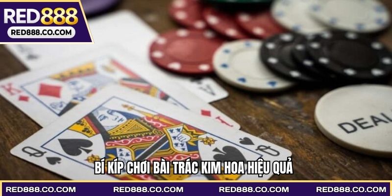 Bí kíp chơi bài trác kim hoa hiệu quả