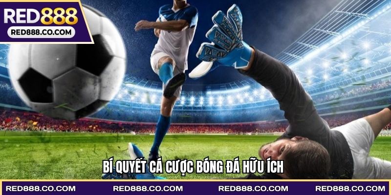 Bí quyết cá cược bóng đá hữu ích