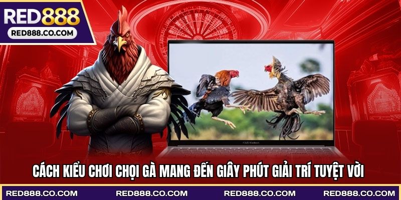 Các kiểu chơi chọi gà mang đến giây phút giải trí tuyệt vời
