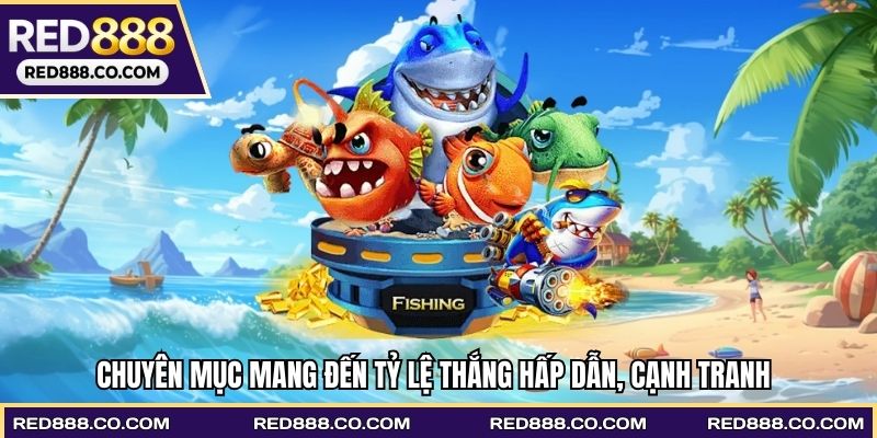 Chuyên mục mang đến tỷ lệ thắng hấp dẫn, cạnh tranh