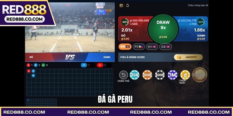 Đá gà Peru