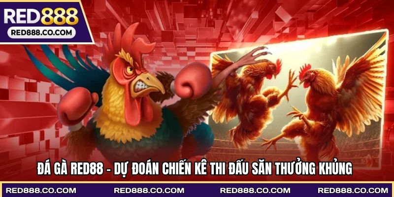Đá gà RED88