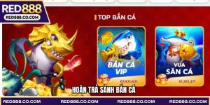 Hoàn Trả Sảnh Bắn Cá - Chương Trình Khuyến Mãi Hot 2026