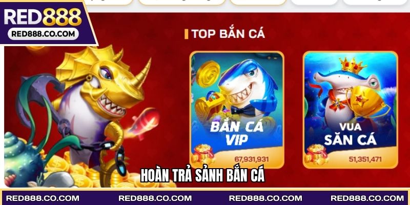 Hoàn Trả Sảnh Bắn Cá - Chương Trình Khuyến Mãi Hot 2026