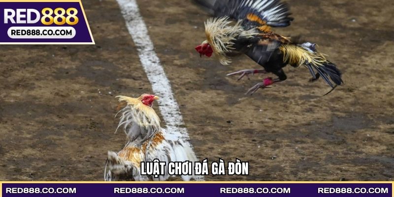 Luật chơi Đá gà đòn