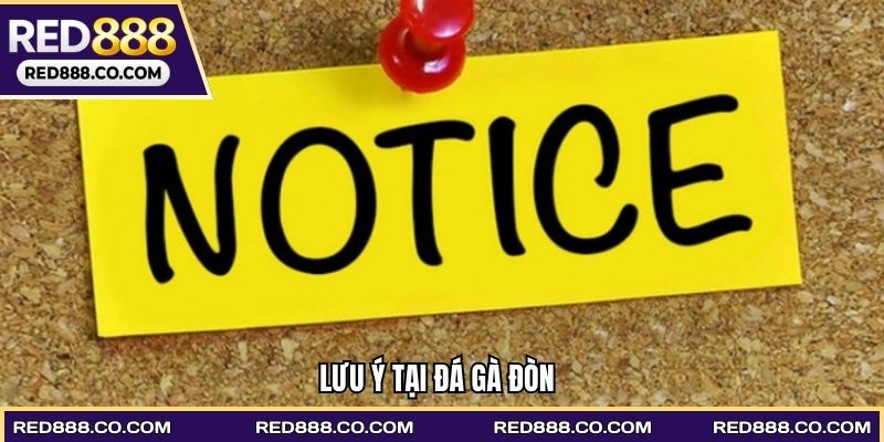 Lưu ý tại Đá gà đòn