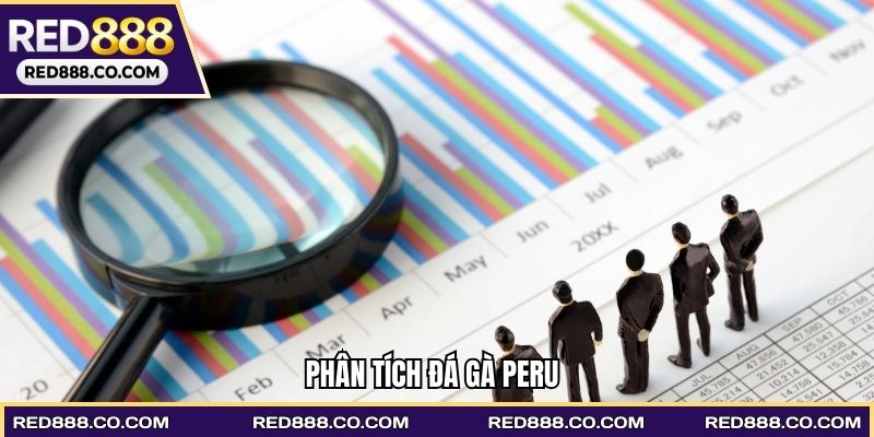 Phân tích Đá gà Peru