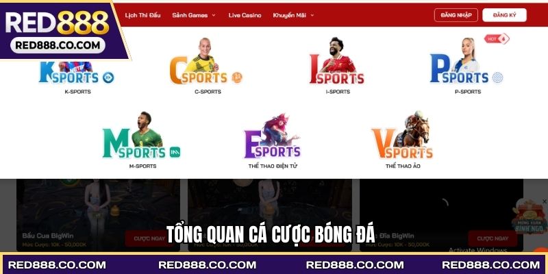 Tổng quan cá cược bóng đá