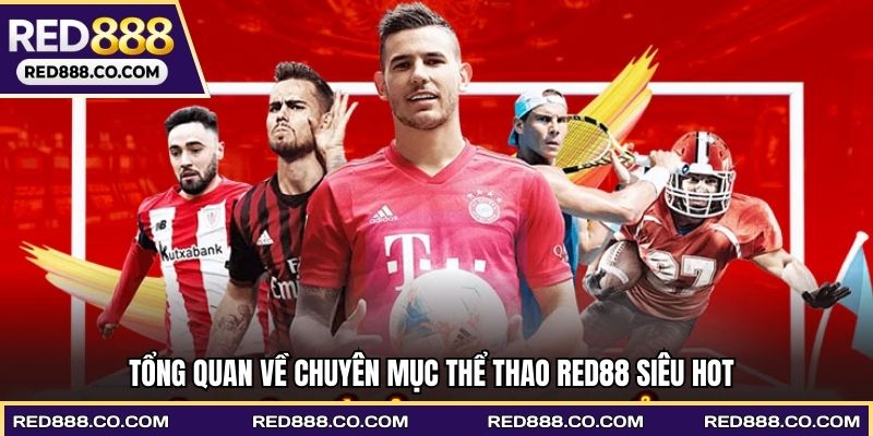 Tổng quan về chuyên mục thể thao RED88 siêu hot